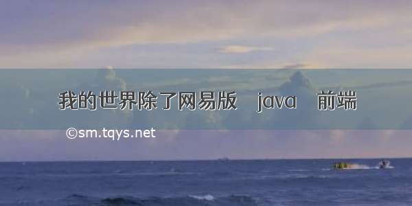 我的世界除了网易版 – java – 前端