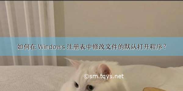 如何在 Windows 注册表中修改文件的默认打开程序？