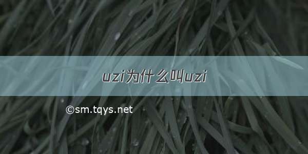 uzi为什么叫uzi