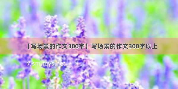 【写场景的作文300字】写场景的作文300字以上