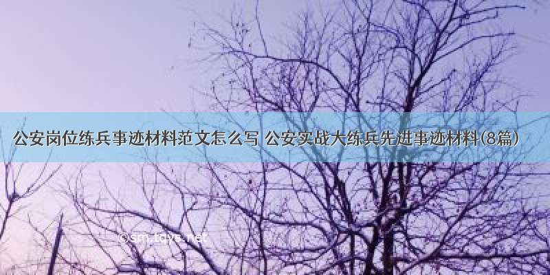 公安岗位练兵事迹材料范文怎么写 公安实战大练兵先进事迹材料(8篇)