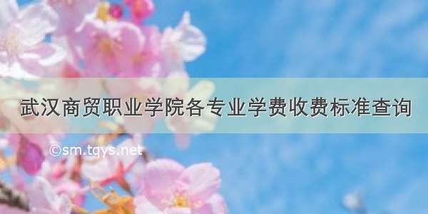 武汉商贸职业学院各专业学费收费标准查询