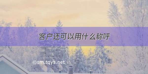 客户还可以用什么称呼