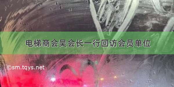 电梯商会吴会长一行回访会员单位