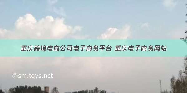 重庆跨境电商公司电子商务平台 重庆电子商务网站