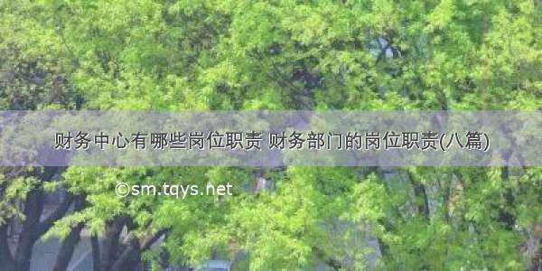 财务中心有哪些岗位职责 财务部门的岗位职责(八篇)