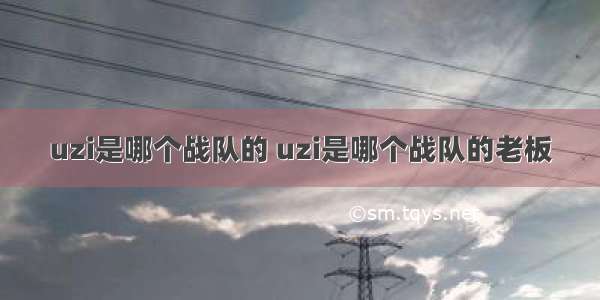 uzi是哪个战队的 uzi是哪个战队的老板