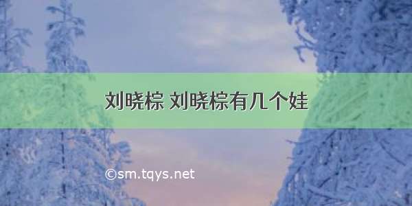 刘晓棕 刘晓棕有几个娃