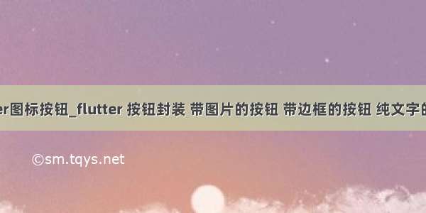 flutter图标按钮_flutter 按钮封装 带图片的按钮 带边框的按钮 纯文字的按钮