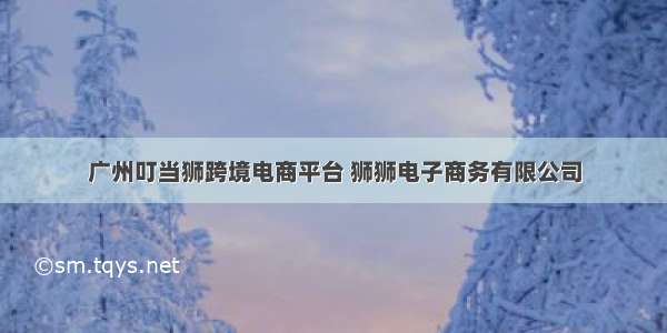 广州叮当狮跨境电商平台 狮狮电子商务有限公司
