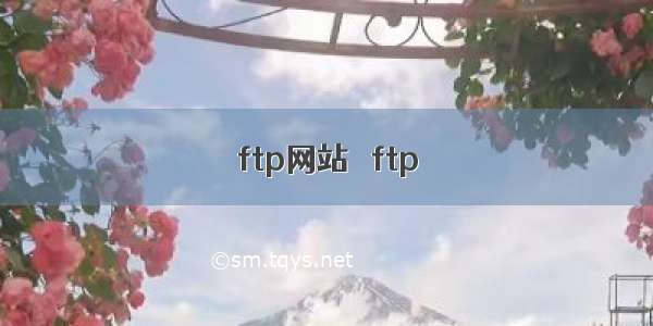 ftp网站   ftp
