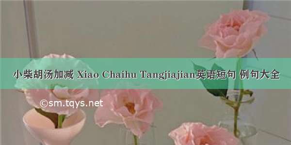 小柴胡汤加减 Xiao Chaihu Tangjiajian英语短句 例句大全