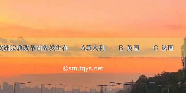 16世纪欧洲宗教改革首先发生在        A意大利         B．英国         C．法国         D．德国