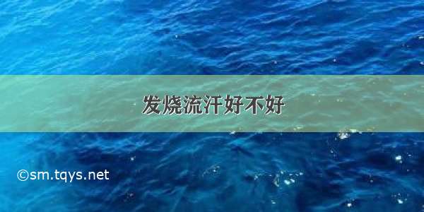 发烧流汗好不好