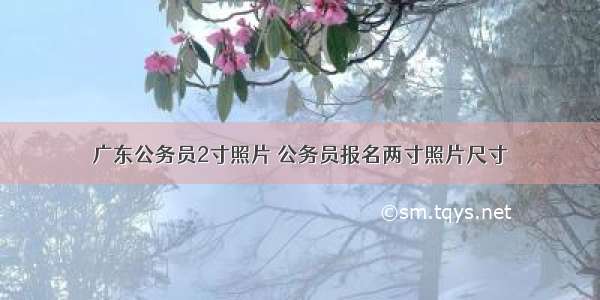 广东公务员2寸照片 公务员报名两寸照片尺寸