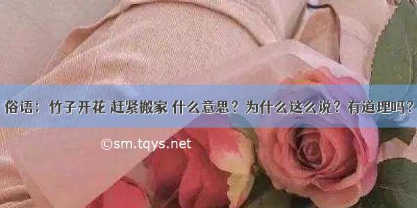 俗语：竹子开花 赶紧搬家 什么意思？为什么这么说？有道理吗？