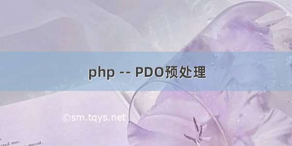 php -- PDO预处理