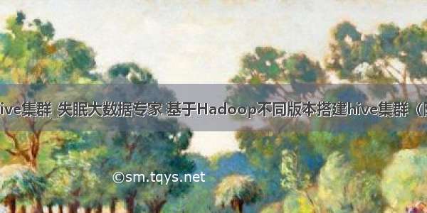 hadoop hive集群_失眠大数据专家 基于Hadoop不同版本搭建hive集群（附配置文件）