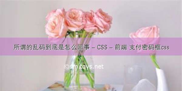 所谓的乱码到底是怎么回事 – CSS – 前端 支付密码框css