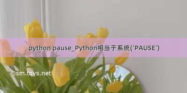 python pause_Python相当于系统(‘PAUSE’)