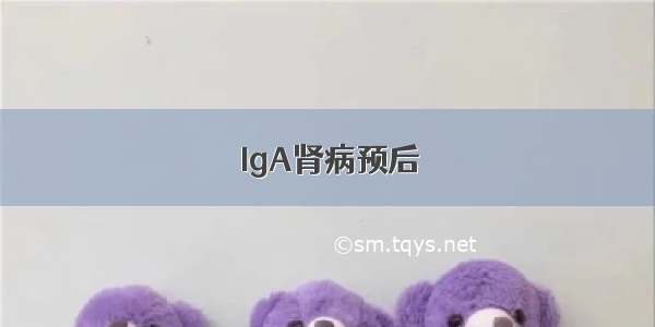 IgA肾病预后