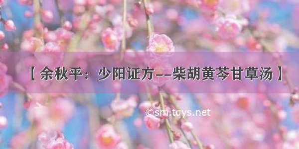 【余秋平：少阳证方--柴胡黄芩甘草汤】