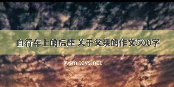 自行车上的后座 关于父亲的作文500字