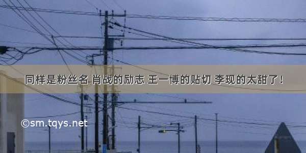 同样是粉丝名 肖战的励志 王一博的贴切 李现的太甜了！