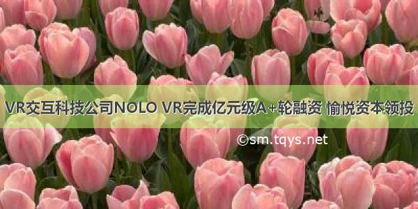 VR交互科技公司NOLO VR完成亿元级A+轮融资 愉悦资本领投