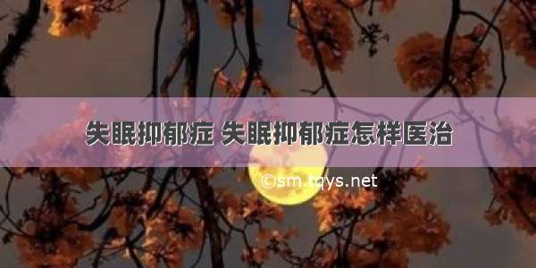 失眠抑郁症 失眠抑郁症怎样医治