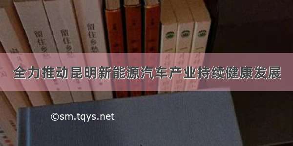 全力推动昆明新能源汽车产业持续健康发展