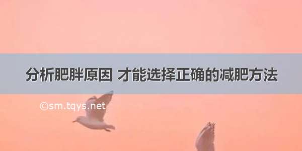 分析肥胖原因 才能选择正确的减肥方法