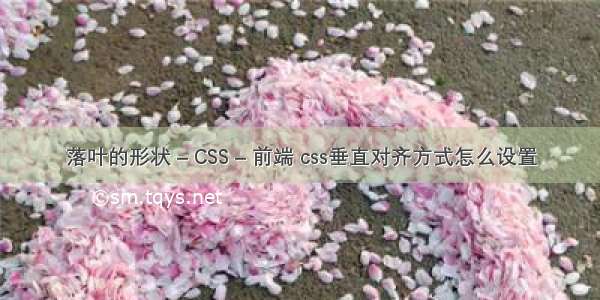 落叶的形状 – CSS – 前端 css垂直对齐方式怎么设置