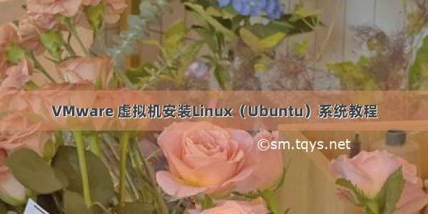 VMware 虚拟机安装Linux（Ubuntu）系统教程