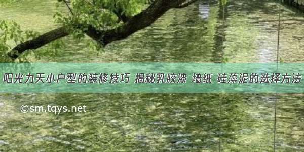 阳光力天小户型的装修技巧 揭秘乳胶漆 墙纸 硅藻泥的选择方法