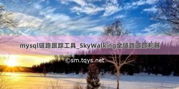 mysql链路跟踪工具_SkyWalking全链路追踪利器