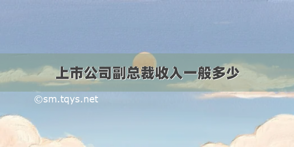 上市公司副总裁收入一般多少