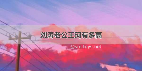 刘涛老公王珂有多高