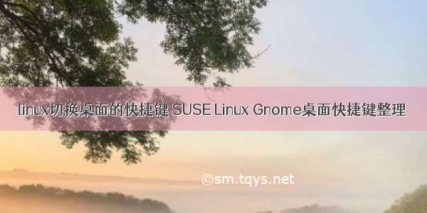 linux切换桌面的快捷键 SUSE Linux Gnome桌面快捷键整理