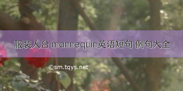 服装人台 mannequin英语短句 例句大全