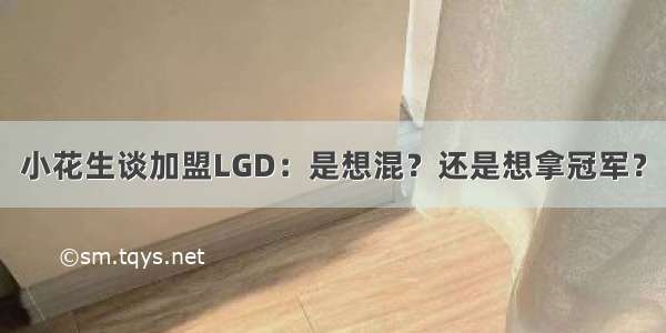 小花生谈加盟LGD：是想混？还是想拿冠军？