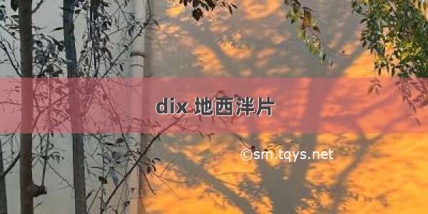 dix 地西泮片