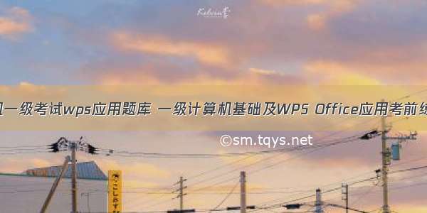 计算机一级考试wps应用题库 一级计算机基础及WPS Office应用考前练习题