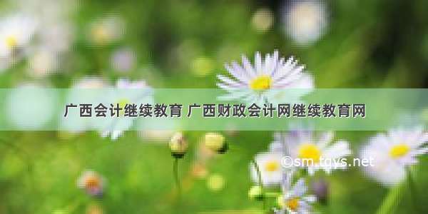 广西会计继续教育 广西财政会计网继续教育网