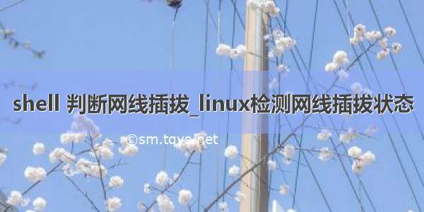 shell 判断网线插拔_linux检测网线插拔状态