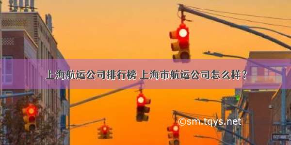 上海航运公司排行榜 上海市航运公司怎么样？