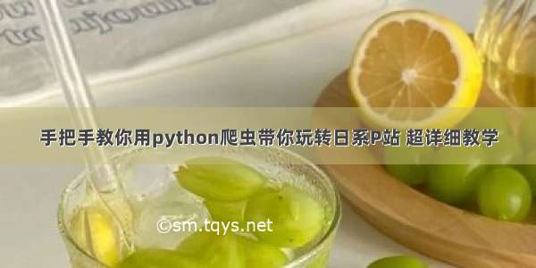 手把手教你用python爬虫带你玩转日系P站 超详细教学