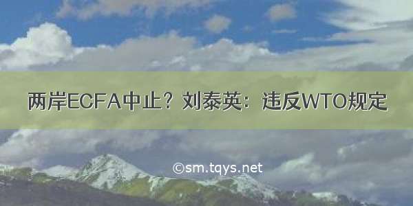 两岸ECFA中止？刘泰英：违反WTO规定