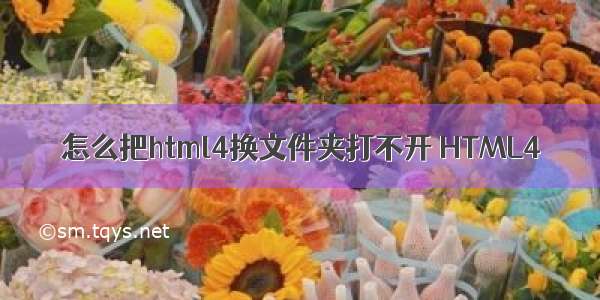 怎么把html4换文件夹打不开 HTML4