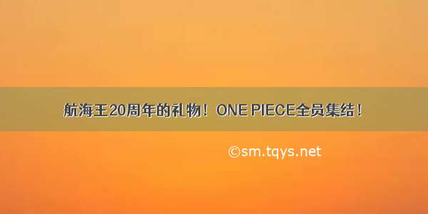 航海王20周年的礼物！ONE PIECE全员集结！